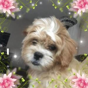 Meet your Posher, Kaye